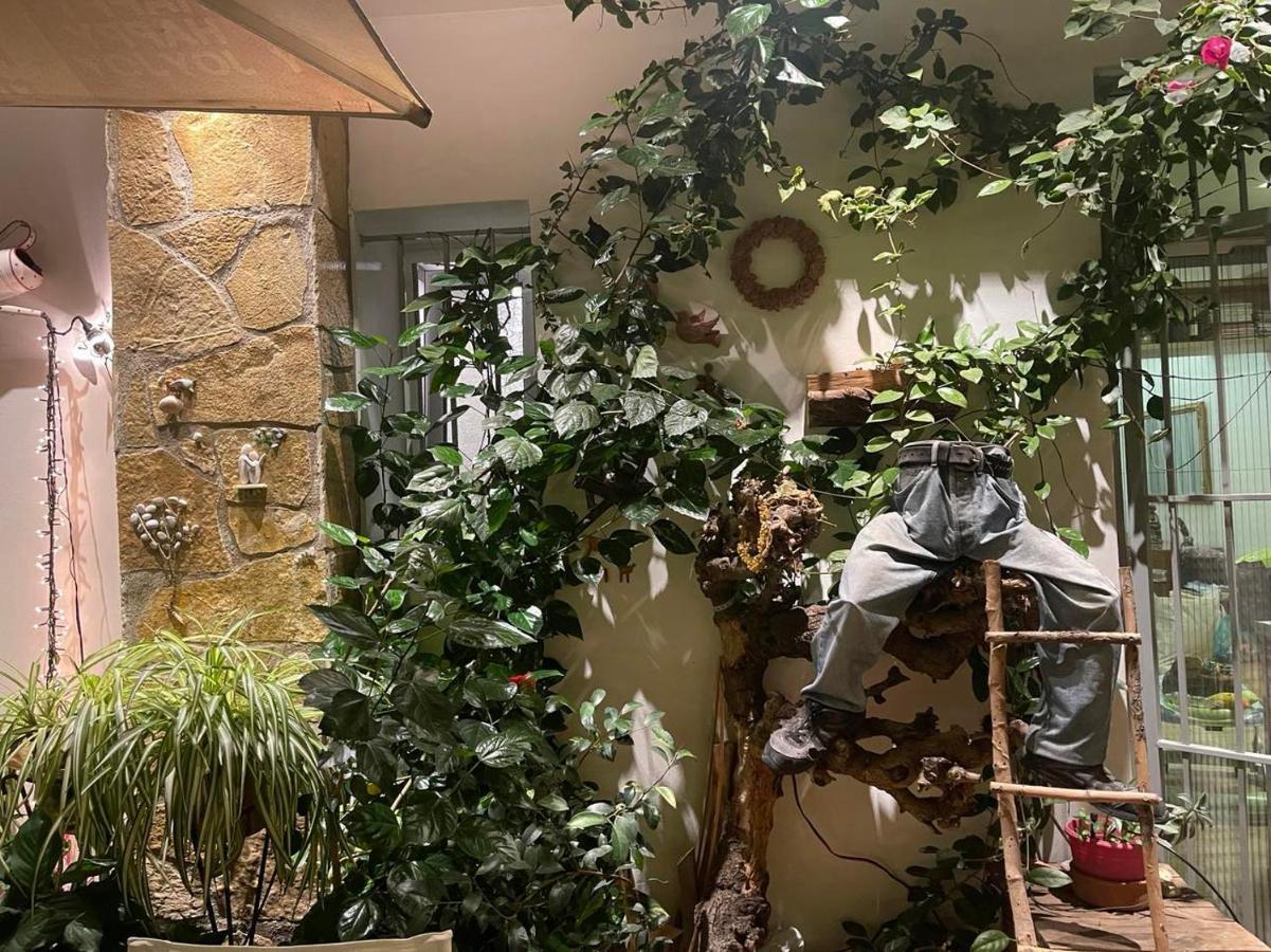 Eleonora'S Hidden Gem Apartment Атина Екстериор снимка